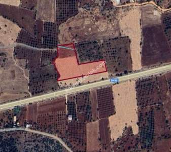 Yola Sıfır Yamaçoba Da 10 Dönüm Tek Tapu Tarla 10