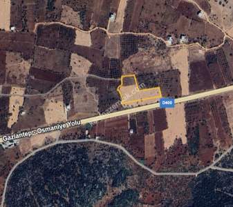 Yola Sıfır Yamaçoba Da 10 Dönüm Tek Tapu Tarla 12