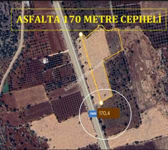 Yola Sıfır Yamaçoba Da 10 Dönüm Tek Tapu Tarla 9