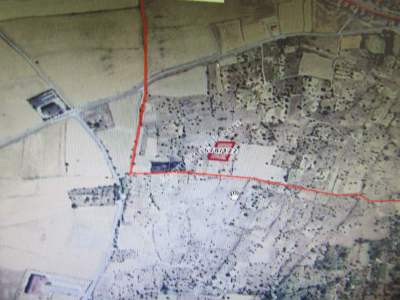 Kayseri Develi Camicedit Mah Ssatlıık Bağ 1