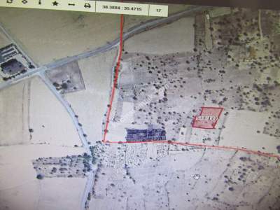 Kayseri Develi Camicedit Mah Ssatlıık Bağ 3