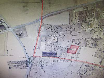 Kayseri Develi Camicedit Mah Ssatlıık Bağ 5