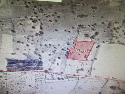 Kayseri Develi Camicedit Mah Ssatlıık Bağ 6