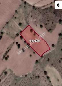 Develi Çomaklı Mah. Yatırımlık Bağ 1