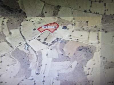 Kayseri Develi Çomaklı Yaprakılburun Satlık Bağ 2