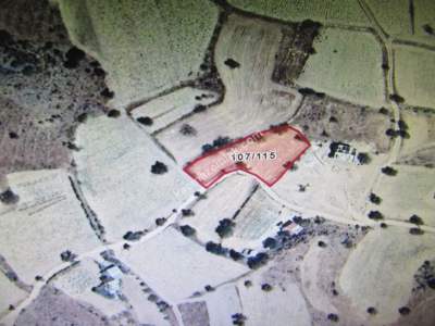 Kayseri Develi Çomaklı Yaprakılburun Satlık Bağ 3