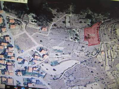 Kayseri Devli Fatih Mah Satlık Bağ 4