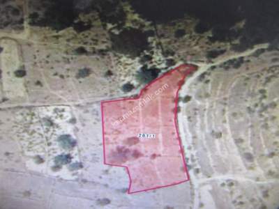 Kayseri Devli Fatih Mah Satlık Bağ 3