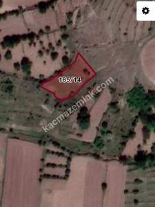 Develi Fenese Yukarı Mah. Bağ 1