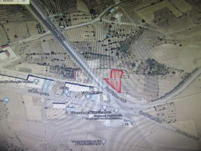 Develi Feneseyukarı Bag Ve Tarla 5