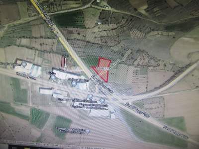 Develi Feneseyukarı Bag Ve Tarla 7