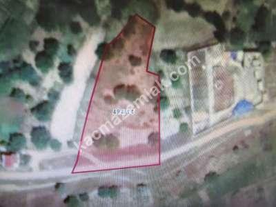 Kayseri Develi Güneyaşağı Mah. Yola Sıfır Bağ 4