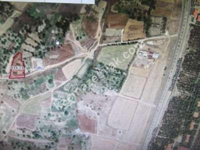 Kayseri Develi Güneyaşağı Mah. Yola Sıfır Bağ 3