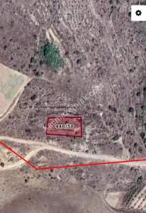 Develi Güneyaşağı Mah. Bağ 1