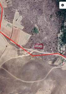 Develi Güneyaşağı Mah. Bağ 2