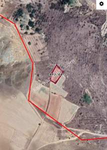 Develi Güneyaşağı Mah. Bağ 1