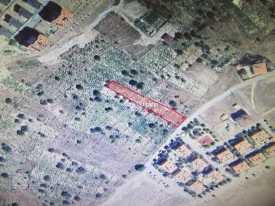 Develi Güneyaşagı Mah Satlık Bag 1