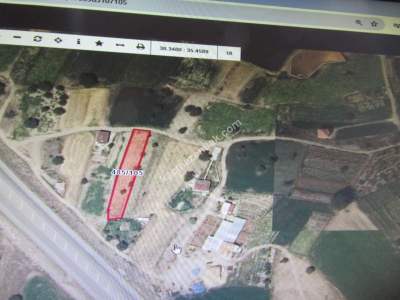 Develi Güneyaşagı Mah Satlık Bag 2