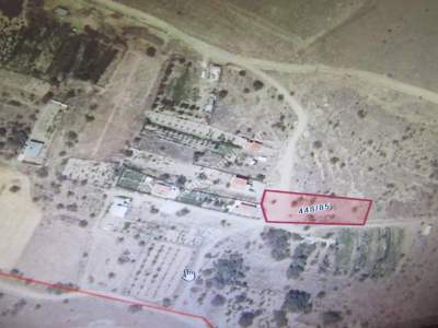 Develi Güneyaşagı Mah Çobanbagı Satlık Bag 2