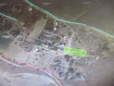 Develi Güneyaşagı Mah Çobanbagı Satlık Bag 3