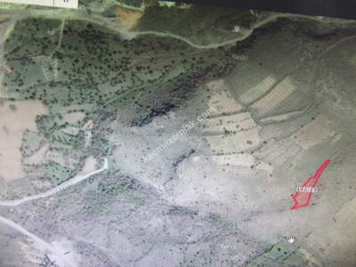 Kayseri Develi Güneyaşağı Satlık Bağ 4