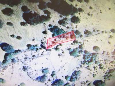 Develi Güneyyukarı Mah Satlık Bag 1