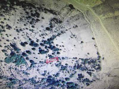 Develi Güneyyukarı Mah Satlık Bag 3