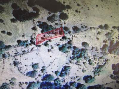 Develi Güneyyukarı Mah Satlık Bag 2