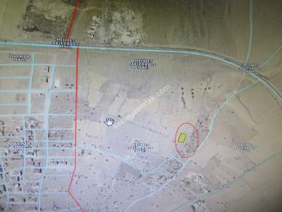 Kayseri Develi Harman Mahallesi Satılık Bağ 4