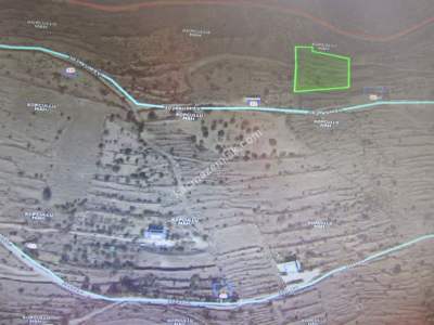 Kayseri Develi Kopcullu Mah Kösekavak Satlık Bağ 3