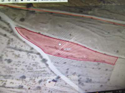 Kaysei Develi Kopcullu Mah Satlık Bag 2