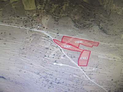 Kaysei Develi Kopcullu Mah Satlık Bag