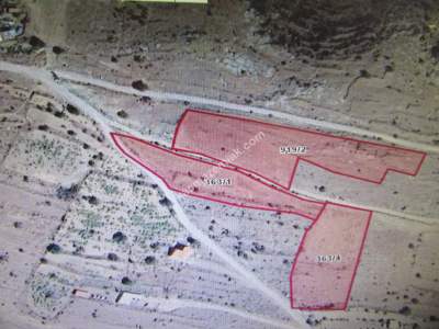 Kaysei Develi Kopcullu Mah Satlık Bag 12