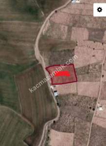 Develi Reşadiye Mah. Bağ 1