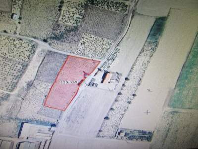 Kayseri Develi Reşadiye Mah Satlık Bag 1