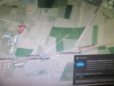 Kayseri Develi Reşadiye Mah Satlık Bag 5