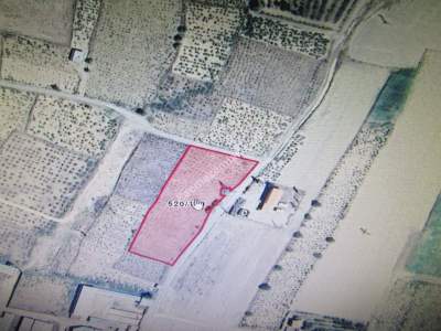 Kayseri Develi Reşadiye Mah Satlık Bag 2