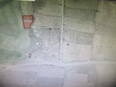 Develi Reşadiye Mah Satlık Bag 7