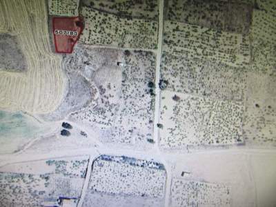 Develi Reşadiye Mah Satlık Bag 8