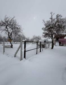 Kayseri Develi Reşadiye Mah Satlık Bag 2