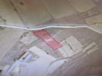 Develi Tonbak Mah Satlık Bag 2