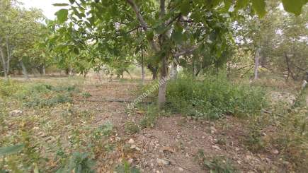 Kayseri Develi Tonbak Mah Satlık Bag Evi 15