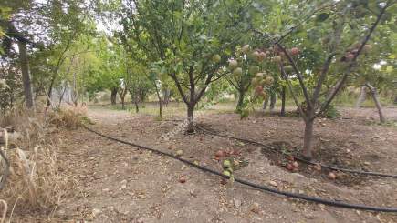 Kayseri Develi Tonbak Mah Satlık Bag Evi 2