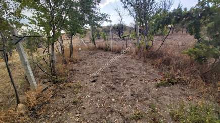 Kayseri Develi Tonbak Mah Satlık Bag Evi 16