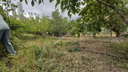 Kayseri Develi Tonbak Mah Satlık Bag Evi 4