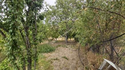 Kayseri Develi Tonbak Mah Satlık Bag Evi 11