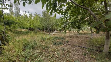 Kayseri Develi Tonbak Mah Satlık Bag Evi 13