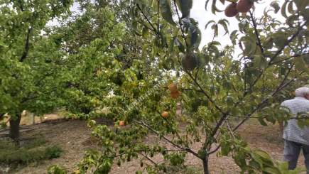 Kayseri Develi Tonbak Mah Satlık Bag Evi 5