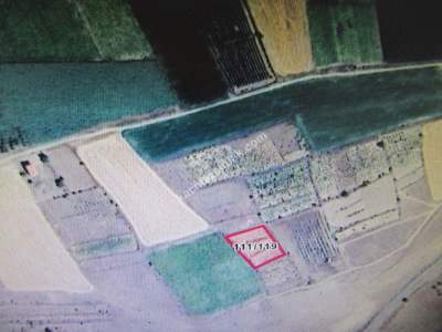 Kayseri Develi Tonbak Mahallesi Satılık Bağ 1