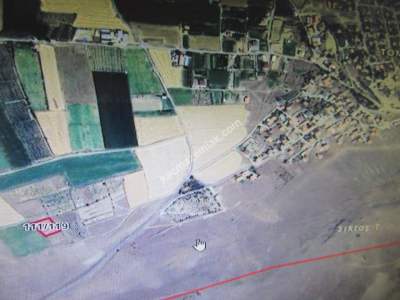 Kayseri Develi Tonbak Mahallesi Satılık Bağ 3